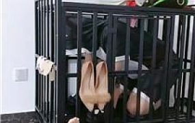 【五公主】囚禁狗笼陪主人直播 JS241012-4