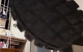 【小猫是S】下班回家训狗狗 JS241016-32