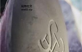 【美柠】皮鞋白丝踩虐气味辱 JS241103-6