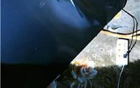 【月神】束缚床窒息【完整版】 JS241031-34