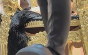 【玥樾】马桶在哪里 JS241029-34