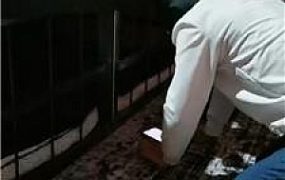 【S惓】下跪伺候主人直播 JS241029-7