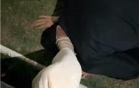 【绵绵】深夜户外遛狗恋足舔 JS241028-33