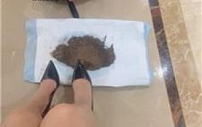 【Joy】捆绑-清理超脏泥巴鞋底/中指鄙视 JS241112-24