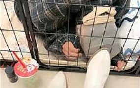 【佳佳】圈养狗笼/圣水泡面/高跟黑丝踩虐 bf46798