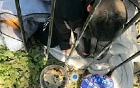 【沅芷大人】女主下班看狗笼圈养奴 JS241106-2