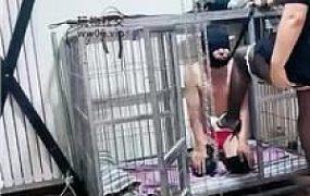 【冰魂】强制开口器堵嘴/囚禁狗笼/吊打贱奴 JS241122-1