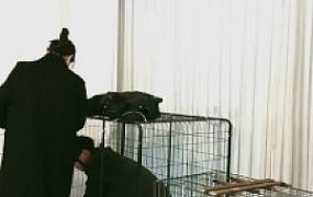 【天韵女皇】狗笼圈养犬化 JS241123-31