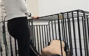 【白栀】囚禁狗笼/小白鞋踢踹/高跟踩踏/坐脸窒息虐乳 bf47428