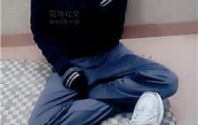 【奇了怪了】胯下羞辱-下跪闻小白鞋棉袜 JS241201-15