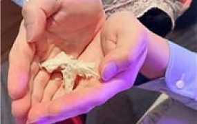 【UU大人】狗爪子做垃圾桶 JS241206-30