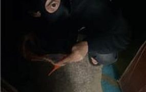 【红颜】高跟踩虐暴打扫楼贱奴 JS241202-34