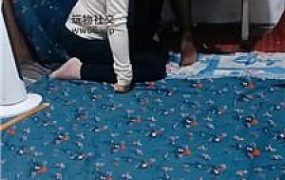 【伪娘和人妻】变装奴下跪舔丝袜jio JS241211-21