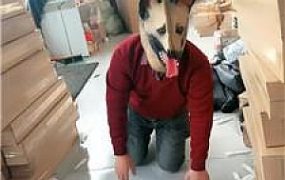 【小原妈妈】彻底训化人形犬 JS241209-27