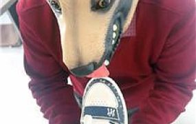 【小原妈妈】ATM舔LV鞋原味棉袜 JS241208-60