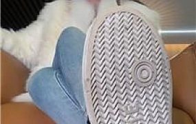 【麋鹿银儿】女巨人强制缩小碾/白鞋白袜裸足 bf47903