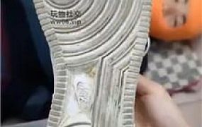 【奇了怪了】转胯狗爬鞭打/闻舔小白鞋白袜 JS241213-10