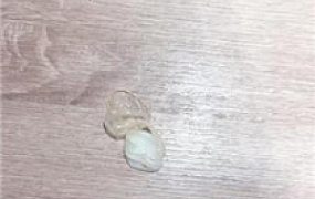 【茹雪】抽耳光/卑微囚禁鞋柜/强迫吃byt bf48610