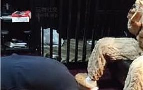 【尊主】毛拖鞋捂白袜强迫舔 JS250108-8