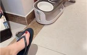 【沅芷大人】脏夹拖碾压踩狗头 JS250124-16