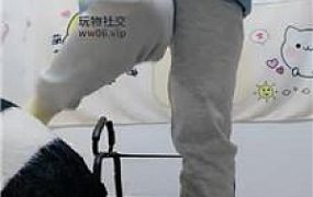 【广西木木】长靴S坐脸窒息专场 JS250127-5