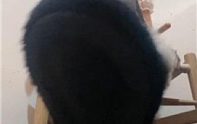 【咏慈】黑丝辱骂贱狗    250209-19