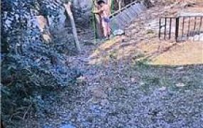 【沅芷大人】后院绑树上狠鞭打/抽的惨叫连连 bf50646