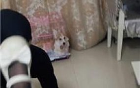 【七七小主】双S-高跟黑丝狂舔/耳光狂抽 JS250112-40