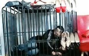 【冰炫】囚禁狗笼犬化【双视角版】 JS250315-36