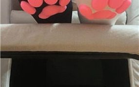 【纯情恶魔】臭狗进来    250317-3