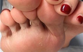 【酒鸽】实名灯    250322-3