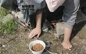 【芝芝女王】户外捆绑树上虐 JS250323-13