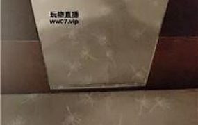 【米小糖】运动鞋白袜踩踏气味辱 bf51785