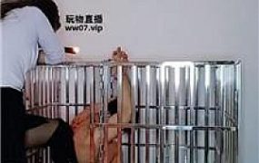 【纱月桃】囚禁狗笼强制虐 JS250328-35