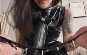 【莫吉托】灯    250329-14