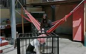 【媚娘工作室】户外囚禁狗笼 JS250406-5