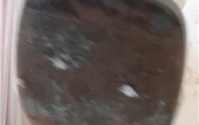 【小十二】香水爆吸强控    250417-32