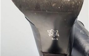 【酒鸽】巨人视角    250428-9