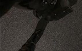 【Sera】高跟长靴碾压踩狗头 JS250508-3