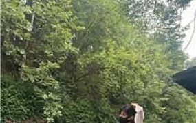 【伊晨】户外-皮鞋白丝遛狗爬行 bf53146