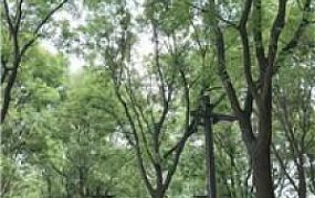 【语阳】户外强迫贱奴下跪【完整版】 JS250506-25