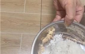 【琼爷】狗盆喂食剩饭剩菜 JS250505-4