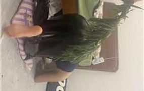 【饭饭】重度sp专场 JS250504-26