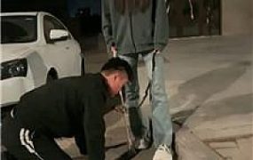 【西彤】户外强制虐狗-重度鞭打 bf53270