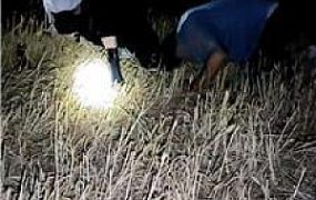 【倦】户外遛狗犬化 JS250525-15