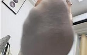 【狗哥】长裙女主-小白鞋白袜踩虐 bf53671