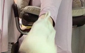 【175景花】瑜伽裤炸    250528-1