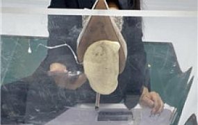 【喵主】语文课下集    250621-39