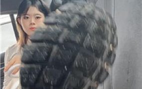 【小猫是S】车上调教    250614-25