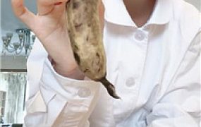 【子衿】剧情私人护士治疗    250612-33